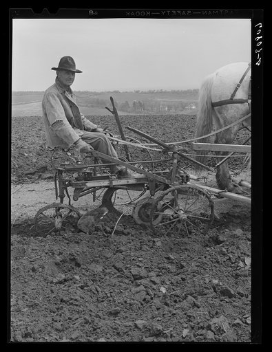 Untitled photo, possibly related to: Eighty year old corn farmer. Harrison County, Iowa