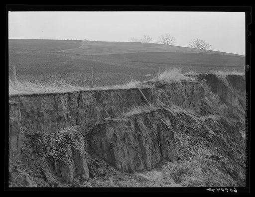Eroded land adjacent to newly-planted cornfield. Harrison County, Iowa