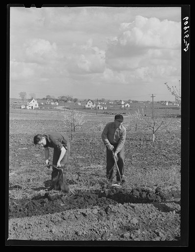 Spading orchard. Granger Homesteads, Iowa