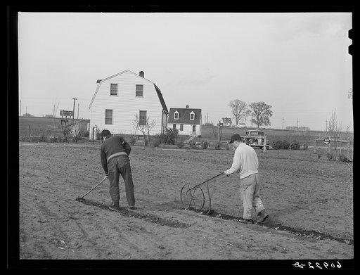 Working in garden. Granger Homesteads, Iowa