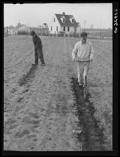 Working in garden. Granger Homesteads, Iowa