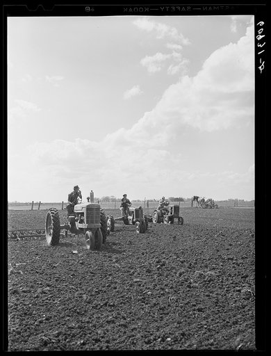 Tractors on large corn farm. Jasper County, Iowa