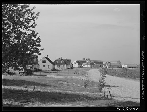 Untitled photo, possibly related to: Deshee Unit, Wabash Farms, Indiana. A cooperative farming enterprise of about fifty families