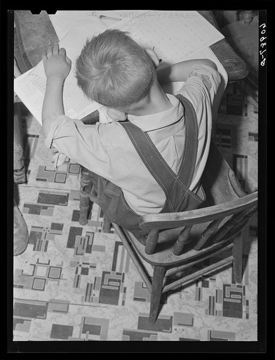 Untitled photo, possibly related to: FSA (Farm Security Administration) tenant purchase borrower and family. Crawford County, Illinois