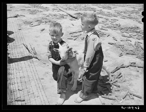Untitled photo, possibly related to: FSA (Farm Security Administration) tenant purchase borrower and family. Crawford County, Illinois