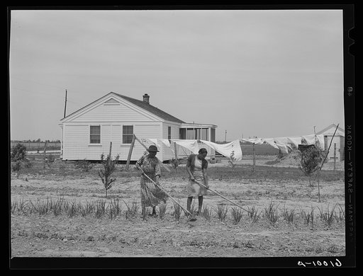 Woman and daughter working in garden. Southeast Missouri Farms