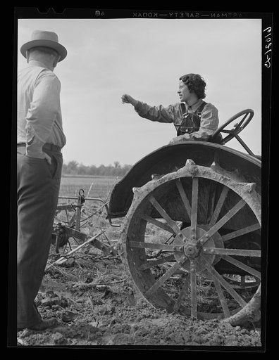Untitled photo, possibly related to: FSA (Farm Security Administration) rehabilitation borrower operating tractor. She and her mother run the farm without the assistance of any men. Grant County, Illinois