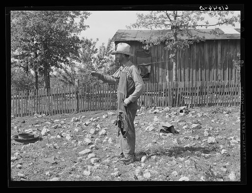 Rocky land of Ozark Mountain farmer. Missouri