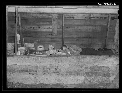 An old barn on property of fruit grower is used as bunkhouse for about twelve single men. Berrien County, Michigan