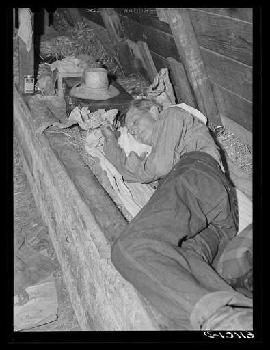 Sleeping quarters in old barn occupied by migrant fruit workers. Berrien County, Michigan