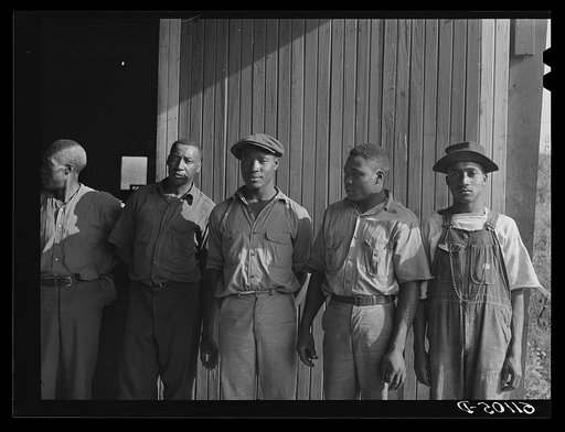 Some growers hire only unmarried Negroes during fruit picking season. Berrien County, Michigan