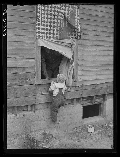 Boy climbing into window of abandoned house in which he lives with seven other families on property of fruit grower. Berrien County, Michigan