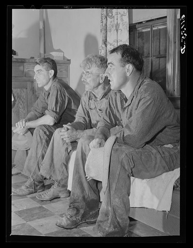 Michigan fruit grower and his two sons. Berrien County, Michigan