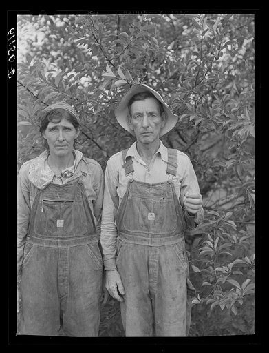 Couple from Arkansas picking cherries in Michigan. Berrien County