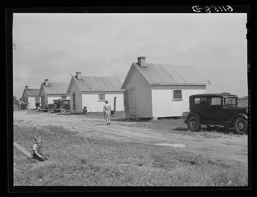 Cabins rented for one dollar and seventy-five cents a week by migratory fruit pickers and packing house workers. Berrien County, Michigan