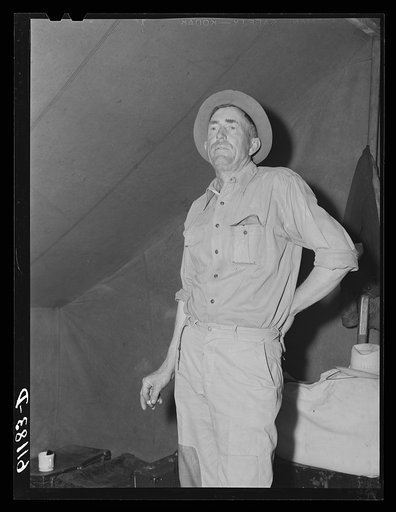 Migratory fruit worker in his tent. Berrien County, Michigan