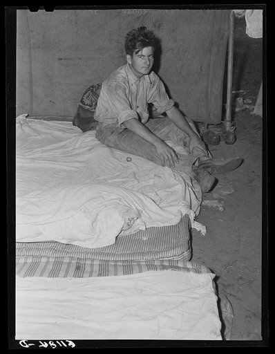 Untitled photo, possibly related to: Son of migrant fruit picker from Florida. Berrien County, Michigan