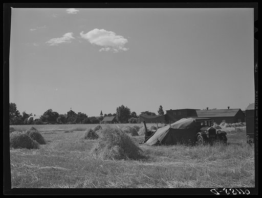 Fruit workers camp. Berrien County, Michigan