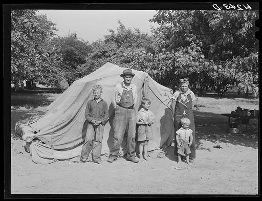 Family from Arkansas living in tent on fruit grower's property. Berrien County, Michigan