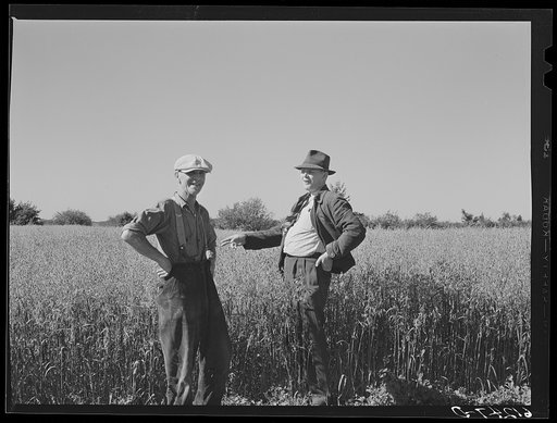 FSA (Farm Security Administration) rehabilitation borrower and part of family. Door County, Wisconsin