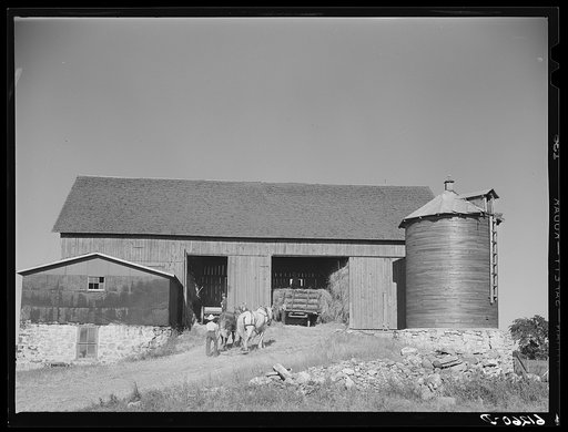 Loading hay into loft with team of horses and pulley. Door County, Wisconsin