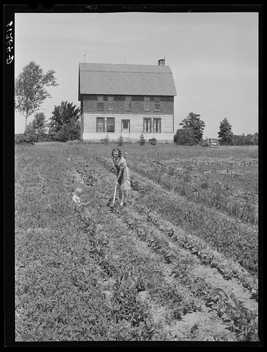 Wife of FSA (Farm Security Administration) borrower working in garden. Door County, Wisconsin