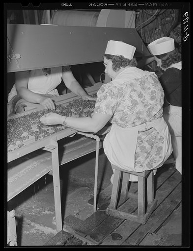 Untitled photo, possibly related to: Women removing stems and defective cherries. Door County, Wisconsin