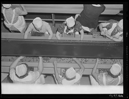 Women removing stems and defective cherries. Door County, Wisconsin
