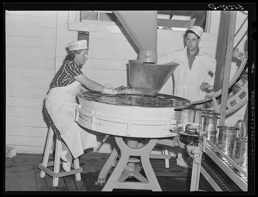 Machine which fills five-pound cans with cherries. Sturgeon Bay, Wisconsin