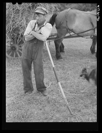 Untitled photo, possibly related to: Loading hay. Door County, Wisconsin