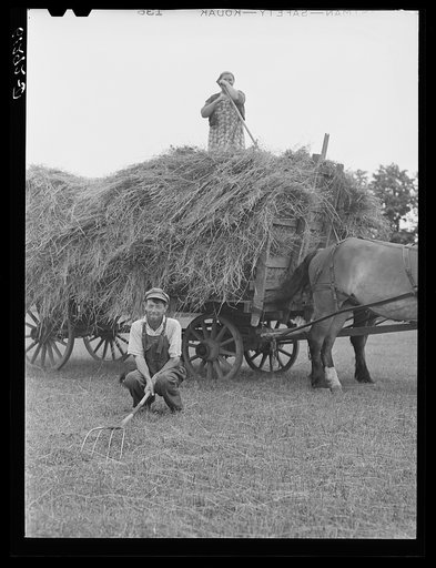 Untitled photo, possibly related to: Loading hay. Door County, Wisconsin