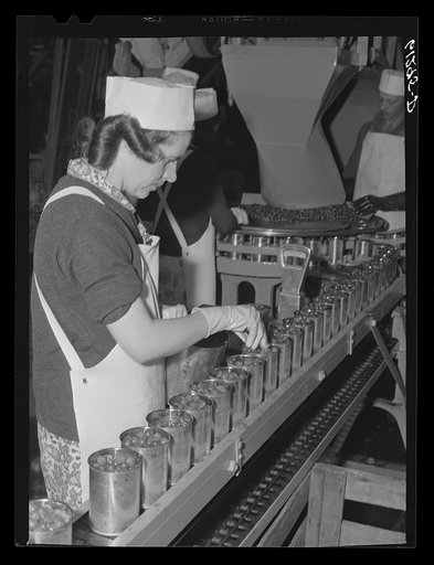 Checking on exact fill of cans in cherry canning plant. Sturgeon Bay, Wisconsin