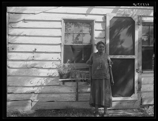 Untitled photo, possibly related to: Mrs. Louise Dyson, wife of FSA (Farm Security Administration) borrower. She is the mother of fifteen children. Saint Mary's County, Maryland