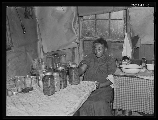 Mrs. Dyson, FSA (Farm Security Administration) borrower, with canned goods. Saint Mary's County, Maryland