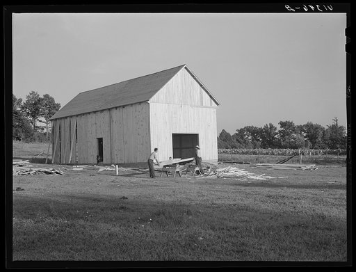 Lucas Barnes, FSA (Farm Security Administration) borrower, building a tobacco barn. Saint Mary's County, Maryland