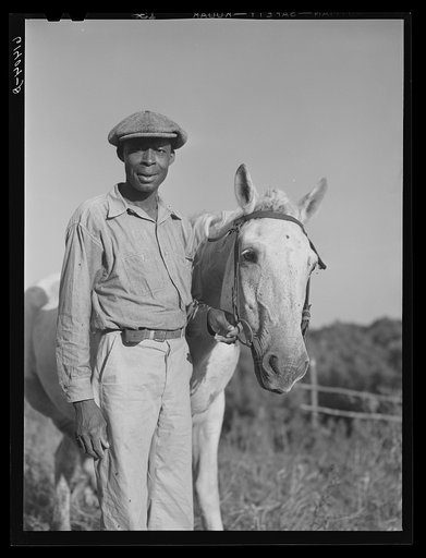 James Bush with horse which is owned cooperatively by three farmers. Saint Mary's County, Maryland