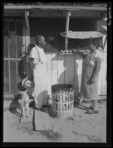 Untitled photo, possibly related to: Mrs. Eugene Smith, wife of FSA (Farm Security Administration) borrower. Saint Mary's County, Maryland