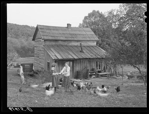 Untitled photo, possibly related to: Lansing and daughter feeding chickens. They are FSA (Farm Security Administration) borrowers. Ross County, Ohio