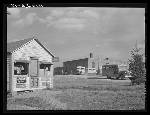 School buses at consolidated school for Huntington Township. Ross County, Ohio