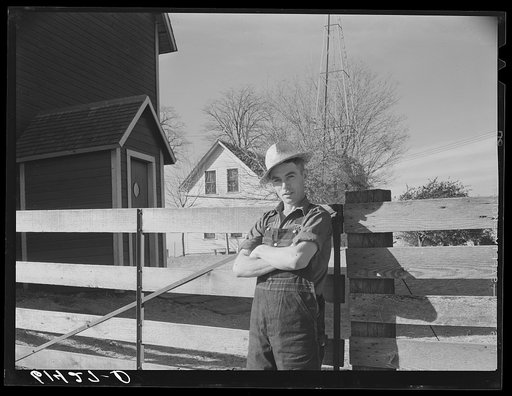 Young farm owner, 120 acres. Meeker County, Minnesota