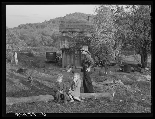 Untitled photo, possibly related to: Mr. Lansing and Mr. Coperning, FSA (Farm Security Administration) borrowers, getting wood to cut for fuel. Ross County, Ohio