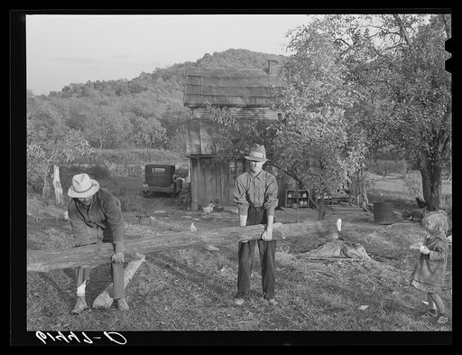 Mr. Lansing and Mr. Coperning, FSA (Farm Security Administration) borrowers, getting wood to cut for fuel. Ross County, Ohio