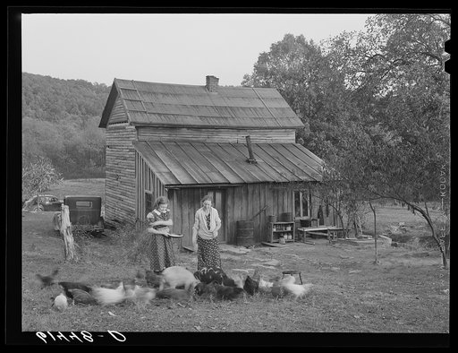Lansing and daughter feeding chickens. They are FSA (Farm Security Administration) borrowers. Ross County, Ohio