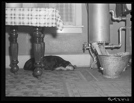Dog sleeping under kitchen table in farm kitchen. Cavalier County, North Dakota