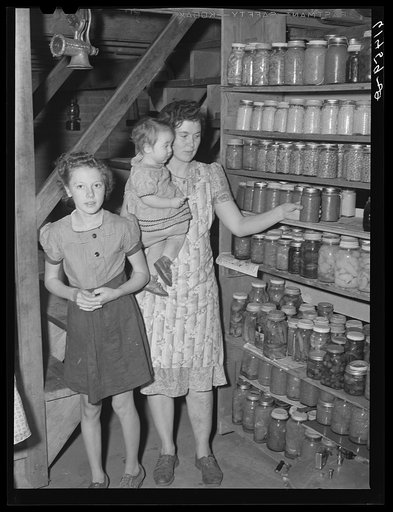 Untitled photo, possibly related to:Canned goods of Hersch family. Red River Valley Farms, North Dakota