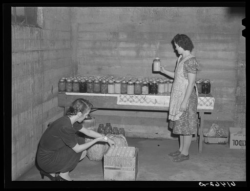 Untitled photo, possibly related to: Canned goods of Hersch family. Red River Valley Farms, North Dakota
