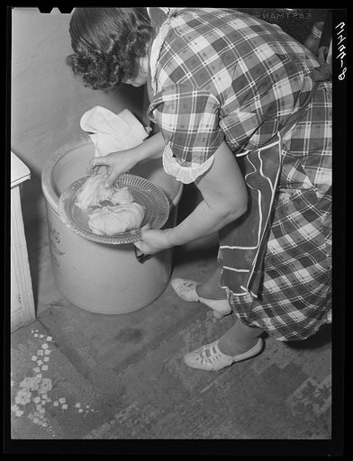 Mrs. Sauer getting sauerkraut out of crock. Cavalier County, North Dakota
