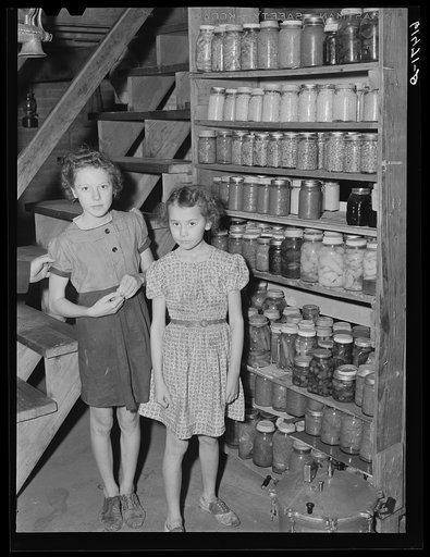 Canned goods of Hersch family. Red River Valley Farms, North Dakota