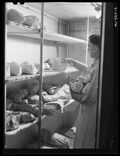 Putting cuts of meat in freezing room. When they are frozen they will be stored in farmers' individual lockers. Hillsboro, North Dakota