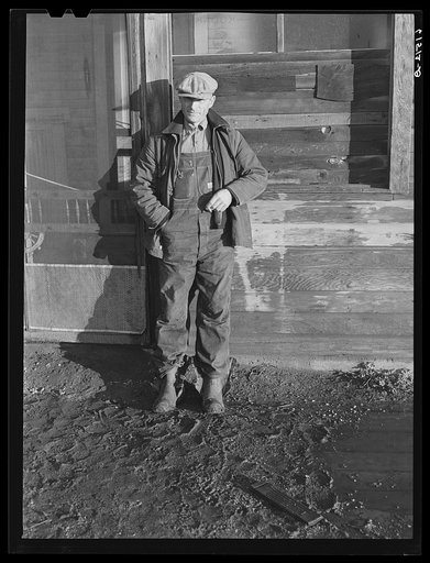 Mr. Sauer, farmer. Cavalier County, North Dakota